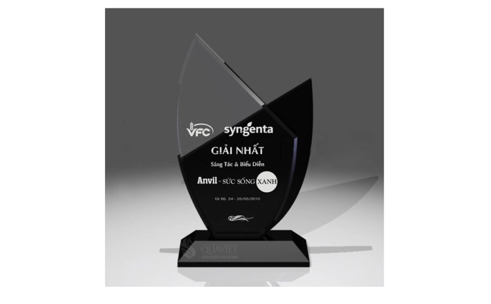kỷ niệm chương mica